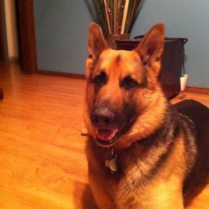 Meet your Posher, Karen